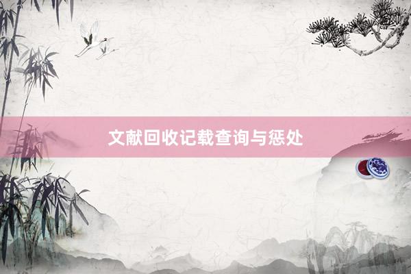 文献回收记载查询与惩处