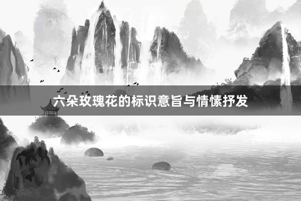 六朵玫瑰花的标识意旨与情愫抒发