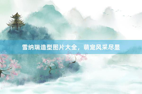 雪纳瑞造型图片大全,萌宠风采尽显