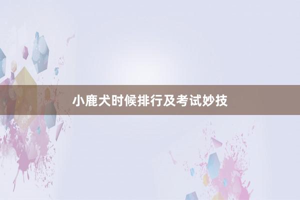 小鹿犬时候排行及考试妙技