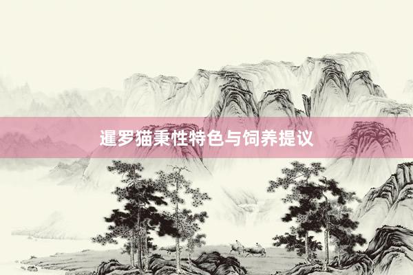 暹罗猫秉性特色与饲养提议